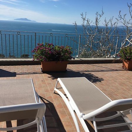 Villa D'Amare Capri View Massa Lubrense Eksteriør billede