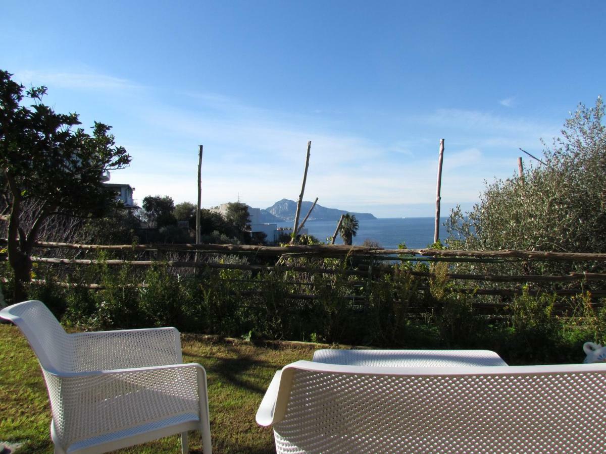 Villa D'Amare Capri View Massa Lubrense Eksteriør billede